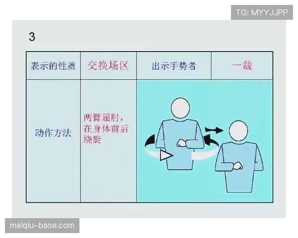 裁判手势解读：比赛现场常见判罚信号与含义