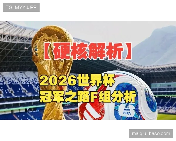 世界杯F组出线概率最新预测